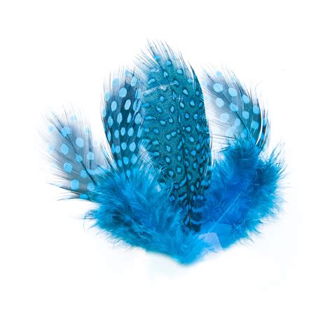 Guinea Fowl Feathers Large | Guinea Fowl | Fly Tying Feathers