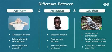 Difference Between Albinism, Melanism And Leucism