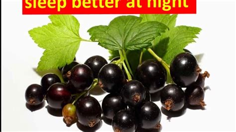 Fruit Benefits Of Blackcurrant