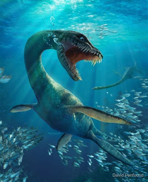 Plesiosaurus