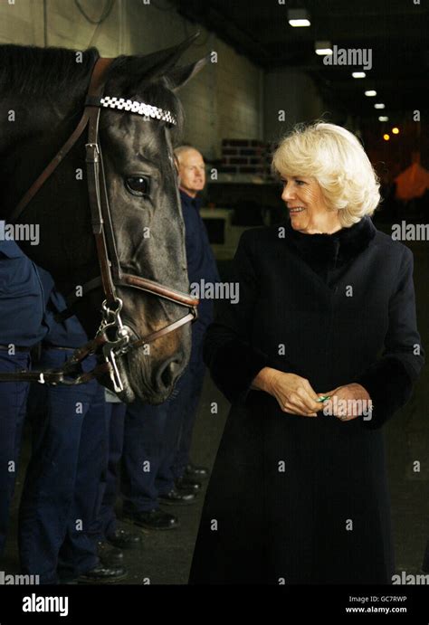 London International Horse Show Stock Photo - Alamy