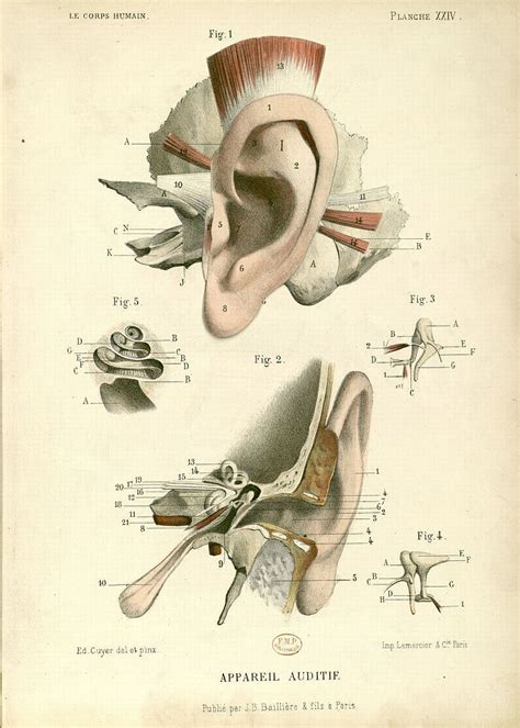 Fonts for Vintage Scientific Diagrams - example shown but suggestions ...