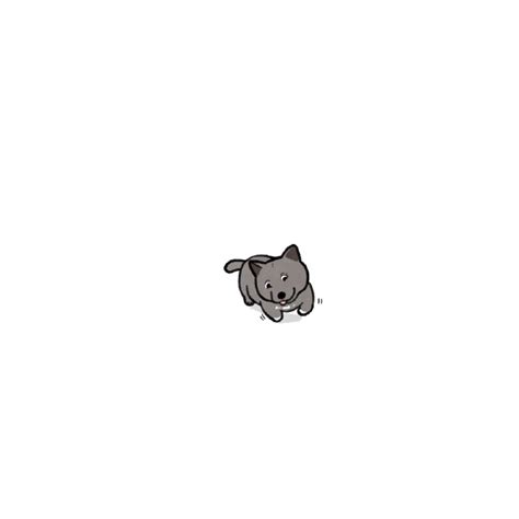anh cho cute chibi  hinh nen cho shiba chibi anime cho dep