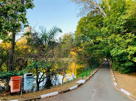 Conhecendo o Lago do Café em Campinas Viajante Sem Fim