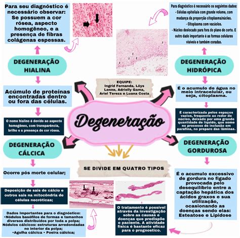 Mapa Mental Degenera O Patologia I