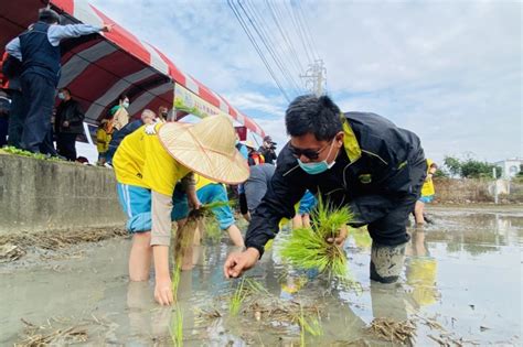 食農教育活動體驗稻米栽培過程 師生體驗插秧樂趣 風傳媒