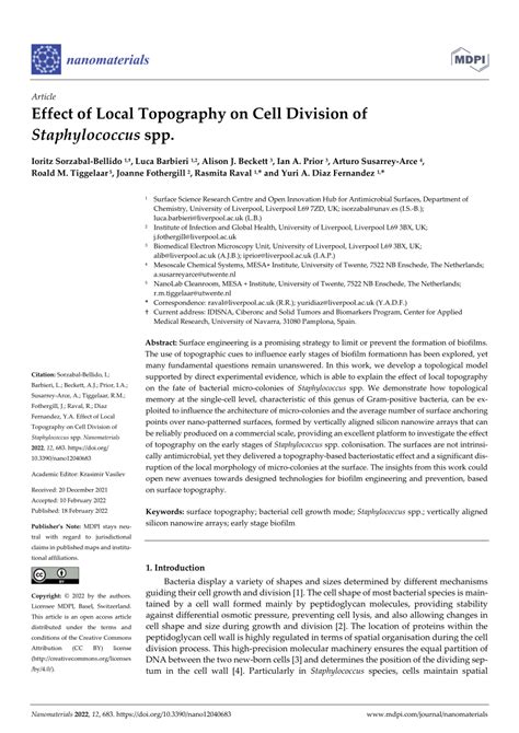 Pdf Effect Of Local Topography On Cell Division Of Staphylococcus Spp