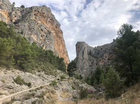 Sierra De Mariola A Os De La Declaraci N Como Parque Natural El