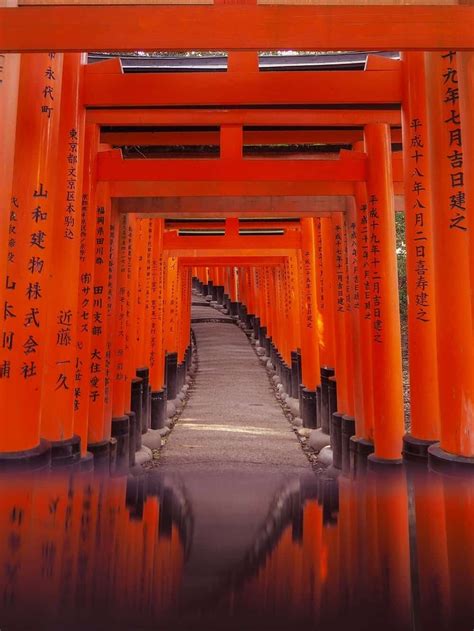 Fushimi Inari Shrine Kyoto When And How To Visit For Photographers