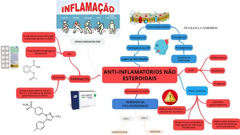 Anti InflamatÓrios NÃo Esteroidais 1 Farmacologia I