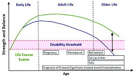 Strength And Balance Ability Over The Life Course And Potential Ages Or