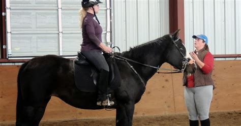 Bit Of Honey Training What Is A Green Horse