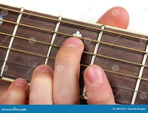 Guitar Fretboard Royalty Free Stock Image Cartoondealer