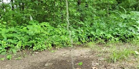 Amateur Teen Sarah Evans Naked Peeing In Public Road Tnaflix