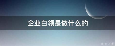 企业白领是做什么的 业百科