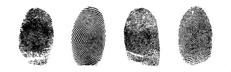 Set Of Fingerprints Vector Illustration Vector Art At Vecteezy