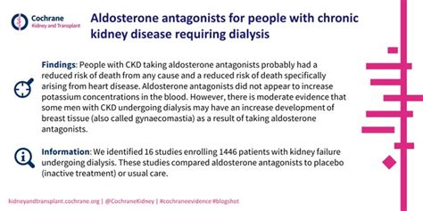 New review: Aldosterone antagonists for people with chronic kidney ...