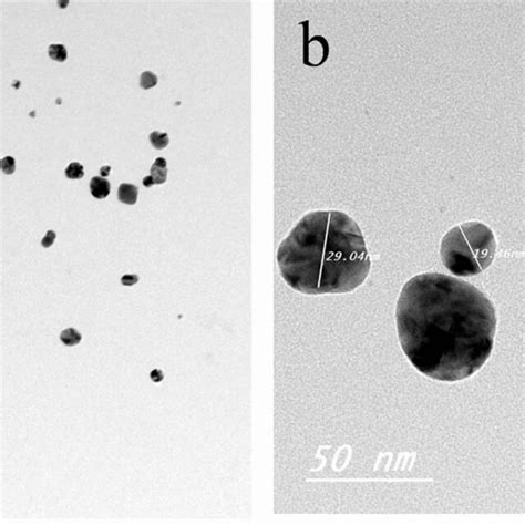 TEM Photography Of Nano Silver Particles Ag NPs The Morphological