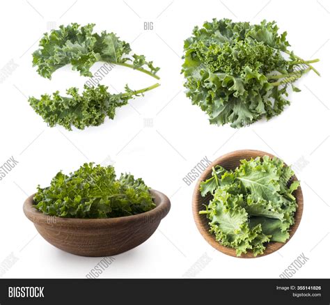 Kale Leaves Isolated Image & Photo (Free Trial) | Bigstock