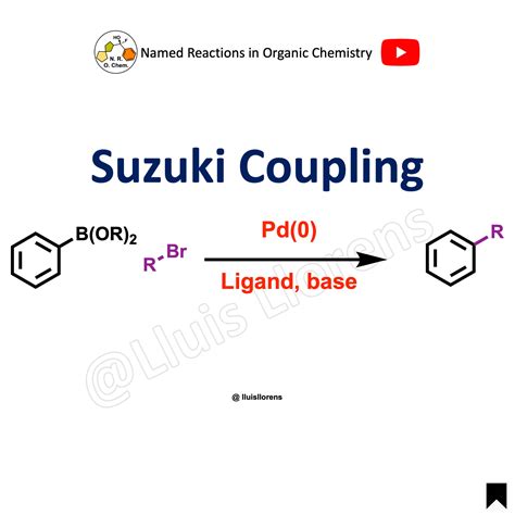 Suzuki Coupling Nrochemistry