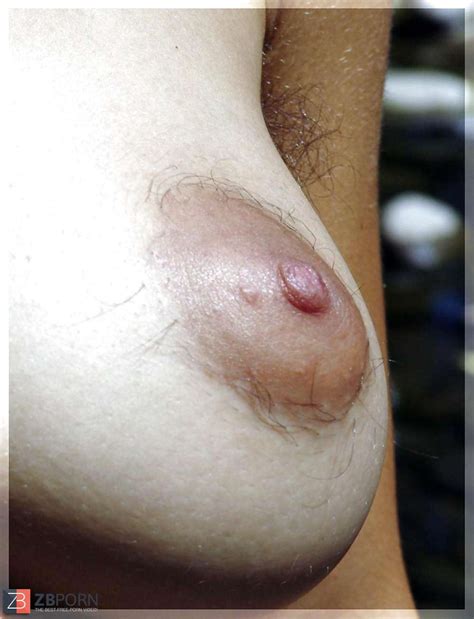 Only Fur Covered Slit ZB Porn