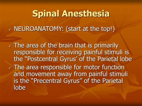 Ppt Spinal Anesthesia Powerpoint Presentation Free Download Id386249