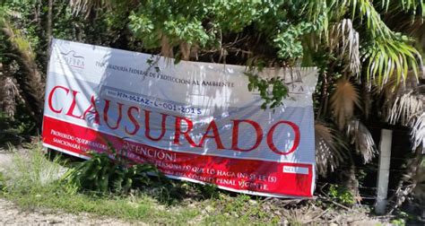 Clausura Profepa tres desarrollos turísticos en Tulum