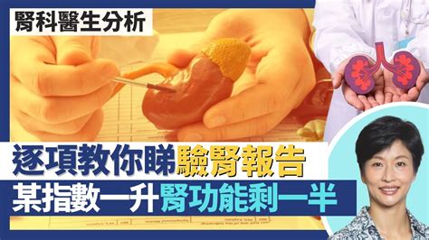 腎功能與護腎貼士｜腎科醫生教你睇驗腎報告 某指數一升腎功能已剩一半？腎臟不只排毒 一半腎衰竭由糖尿病引起？護腎貼士：多飲水不一定好 身體檢查有腎毒性？｜王建芳醫生 腎科醫生葉逸軒醫生｜人類健康