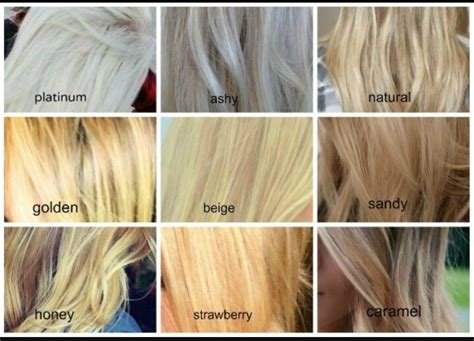 Different Shades Of Blonde Blonde Hair Color Chart Blonde Hair