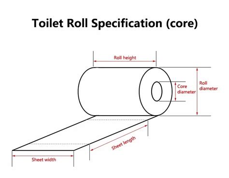 Toilet Paper Roll Dimensions And Guidelines (with Drawings), 44% OFF