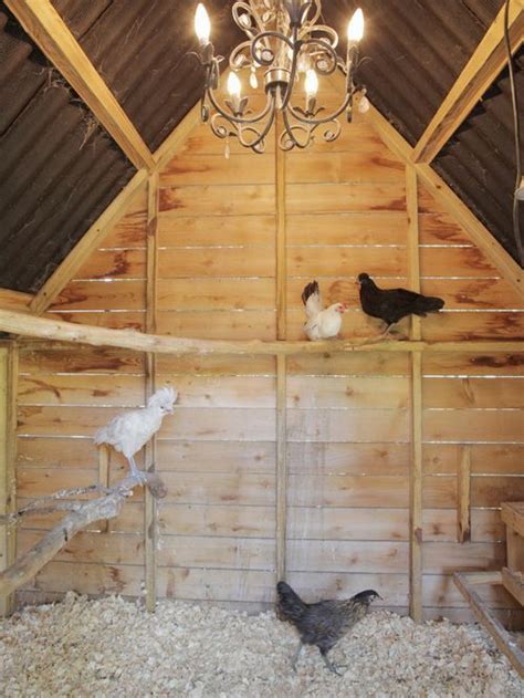 Very Recommended Chicken Roosting Ideas For Coop Chicken Roost