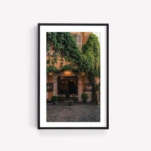 Green Vines Trastevere Rome Photography Print Italian Wall Art Italy