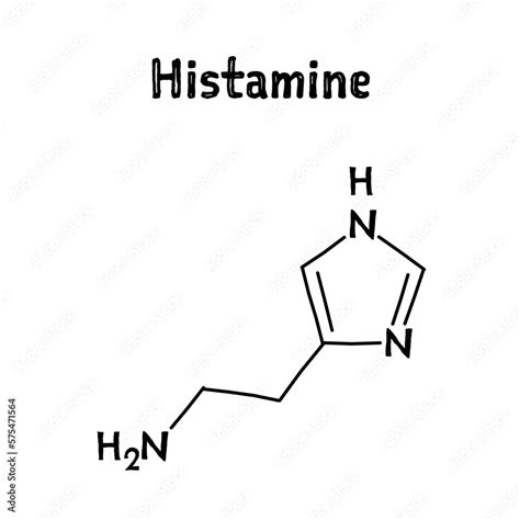 Histamine Molecular Structure Histamine Is Organic Compound Involved