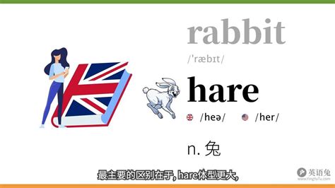 十二生肖的英文翻译 兔是hare 鼠是rat 牛是ox 猪是boar 哔哩哔哩