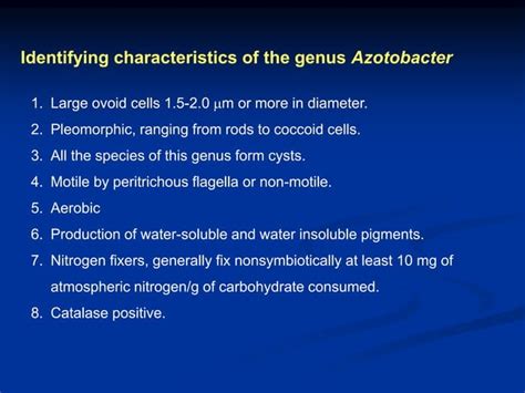 Azotobacter As Biofertilizerppt Free Download