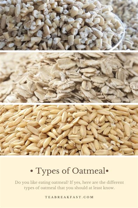 Different Types of Oatmeal You Should Know | Healthy breakfast menu, Breakfast recipes easy ...