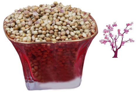 Dried Brown Organic Coriander Seed Form Seeds At Rs 80 Kg In Bengaluru