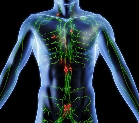 Lymphatic Drainage Massage Posture Massage Stamford And Fairfield