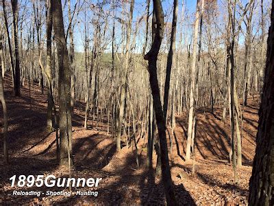 1895Gunner: WMA Hunting in NW Georgia - 2016