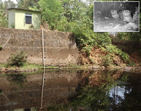 Otter Conservation – Planet Life Foundation