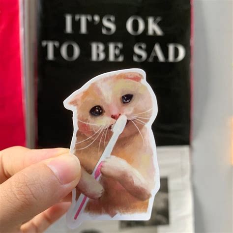 Sad Cat Meme Sticker Set - Etsy