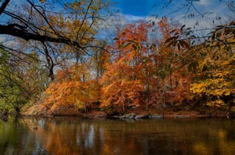 Photo Of The Week Autumn Leaves Chadds Ford Live Chadds Ford Live