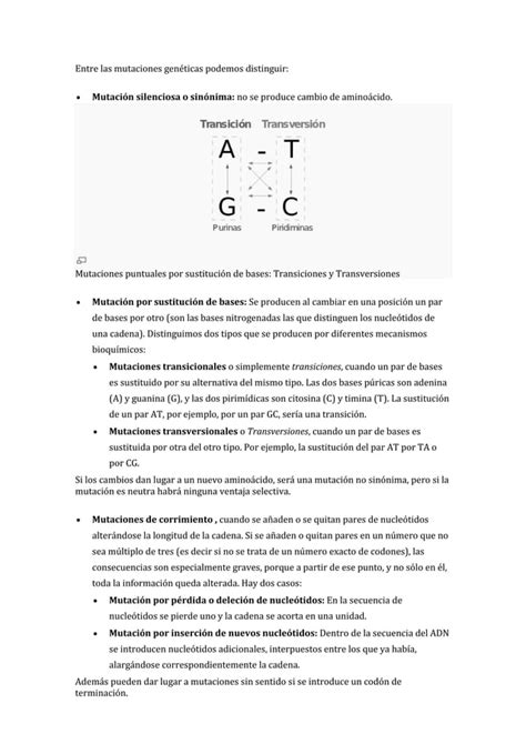 Mutaci N Gen Tica Pdf