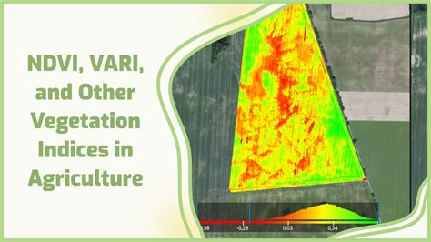 Ndvi Vari And Other Vegetation Index In Agriculture