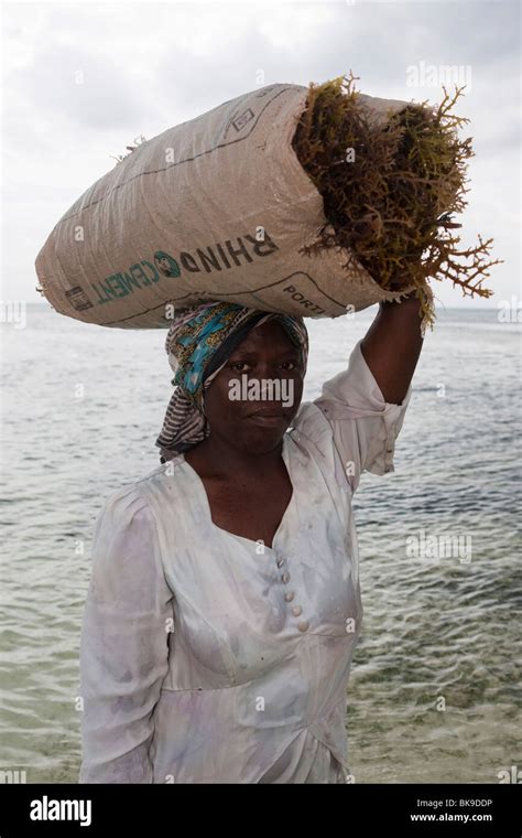 Local Woman In Zanzibar Hi Res Stock Photography And Images Alamy