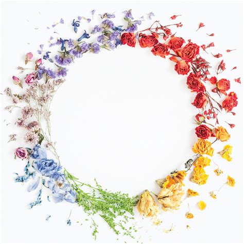 The Florists’ Color Wheel - Living Flowers