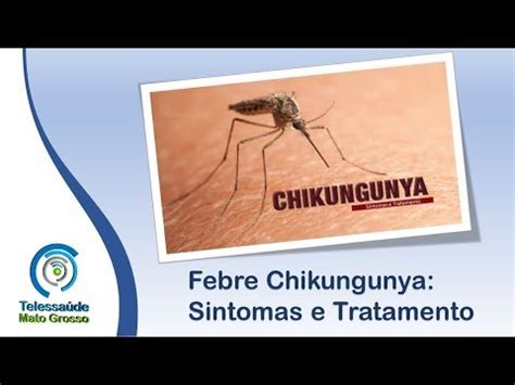 28 02 2018 Febre Chikungunya Sintomas E Tratamento YouTube