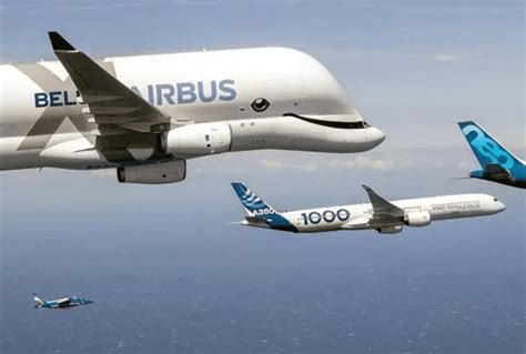 Airbus Plane Types and Models Guide - Aviator Insider