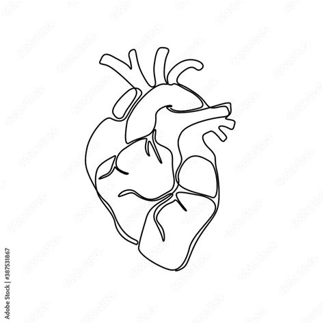 Vecteur Stock Heart Continuous Line Drawing Isolated Vector