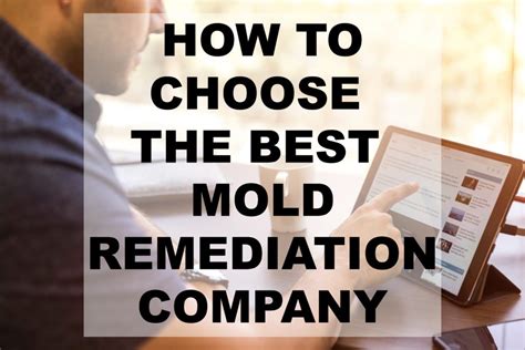 How To Choose The Best Mold Remedation Companies Near You